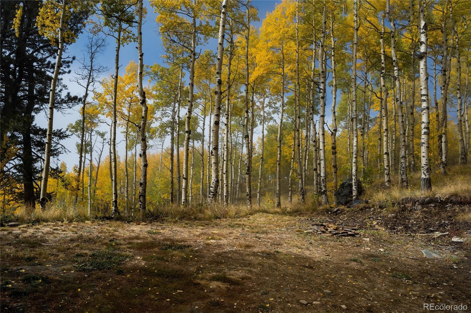 0 Robinson Hill Road Black Hawk, CO 80422 - Photo 10 of 38