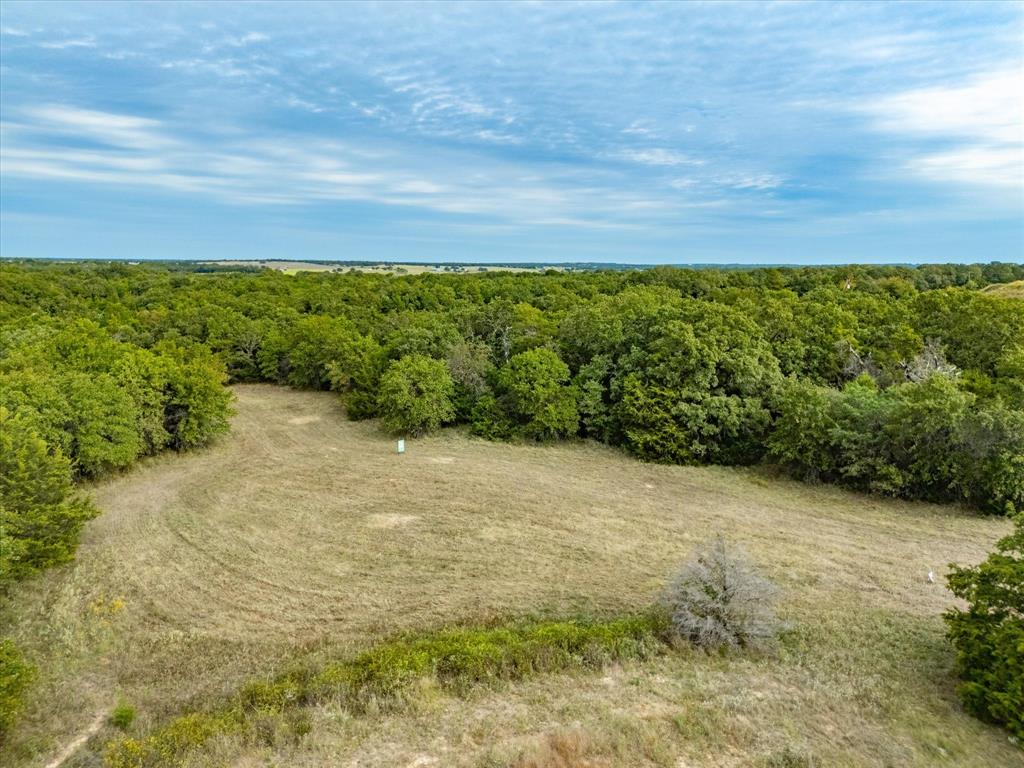Tbd Tbd Cr-2690 Road Alvord, TX 76225 - Photo 12 of 34 a view of a yard with an outdoor space