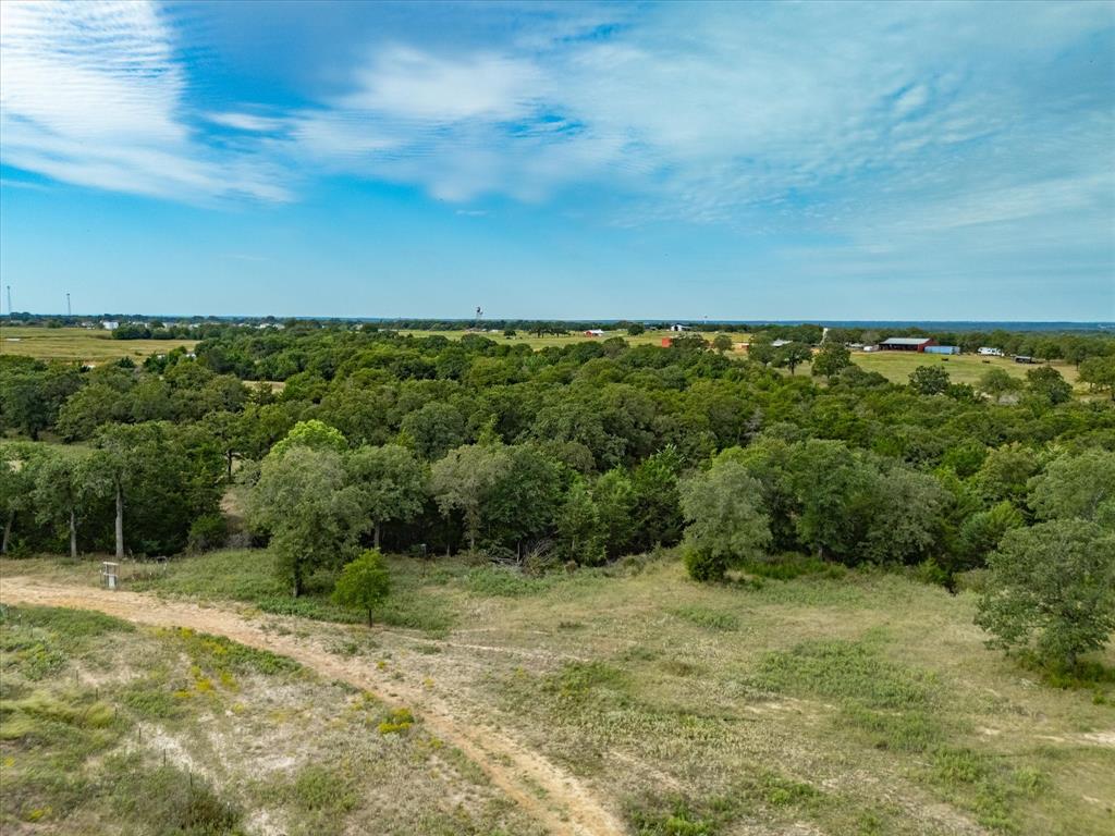 Tbd Tbd Cr-2690 Road Alvord, TX 76225 - Photo 31 of 34 a view of a yard