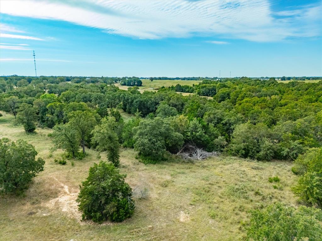 Tbd Tbd Cr-2690 Road Alvord, TX 76225 - Photo 34 of 34 a view of outdoor space and yard