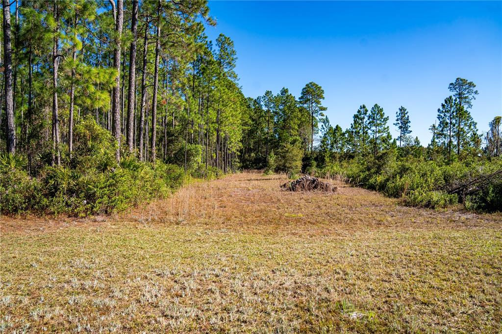 132 Nutmeg Trail Interlachen, FL 32148 - Photo 92 of 100