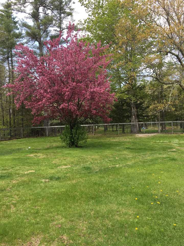 182 Sodom Road Tuftonboro, NH 03850 - Photo 2 of 8
