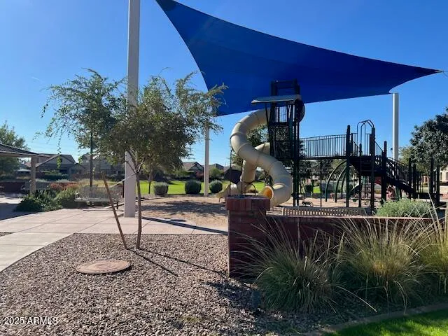 a view of a park with large trees