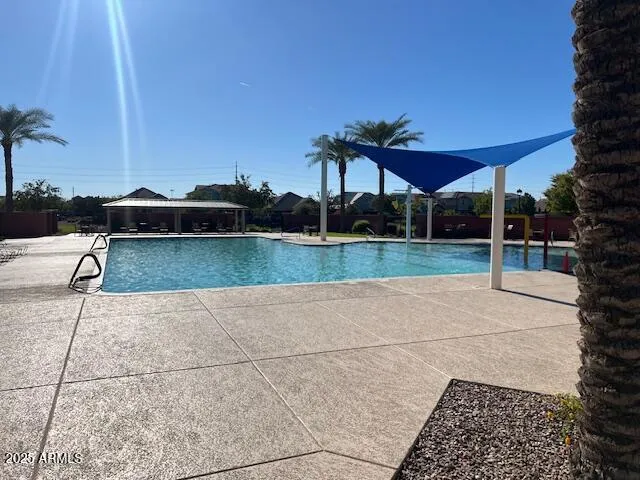 a view of a park with large trees and a car parked on the side of the road