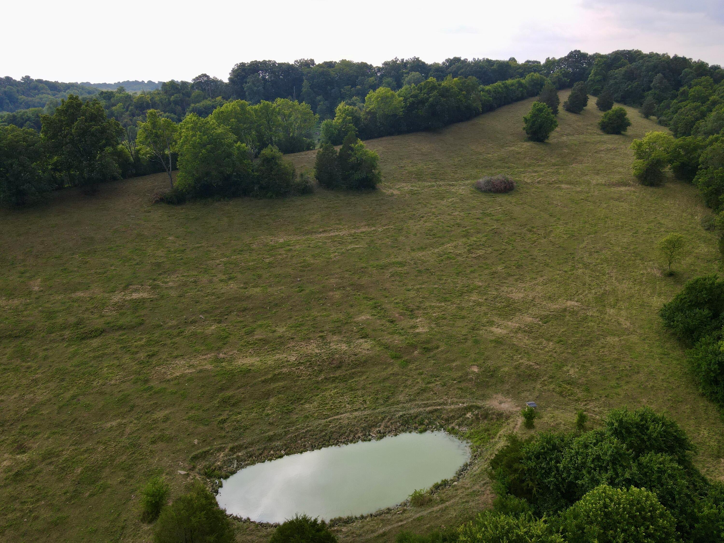 11368 Persimmon Grove Pike California, KY 41007 - Photo 16 of 16 Gallery Image 16