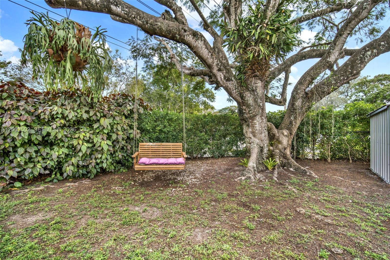 5701 Southwest 50th Terrace Miami, FL 33155 - Photo 39 of 46 a view of a fire pit with large trees