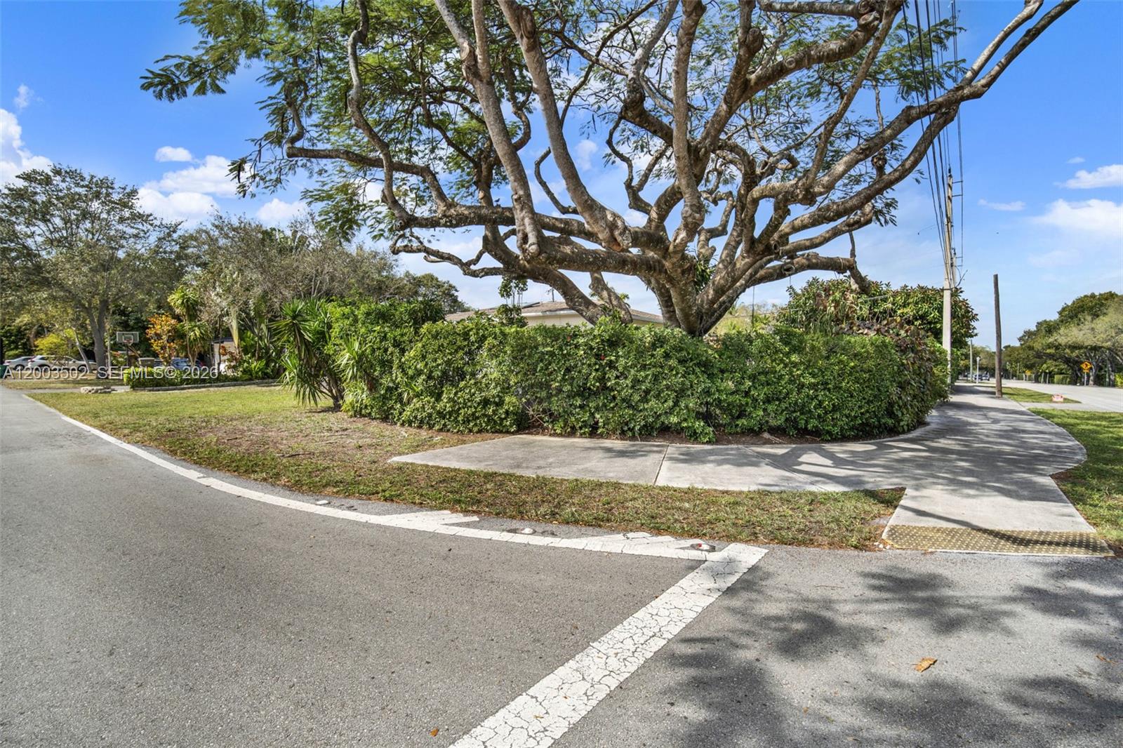 5701 Southwest 50th Terrace Miami, FL 33155 - Photo 45 of 46 a view of a yard with plants and large trees