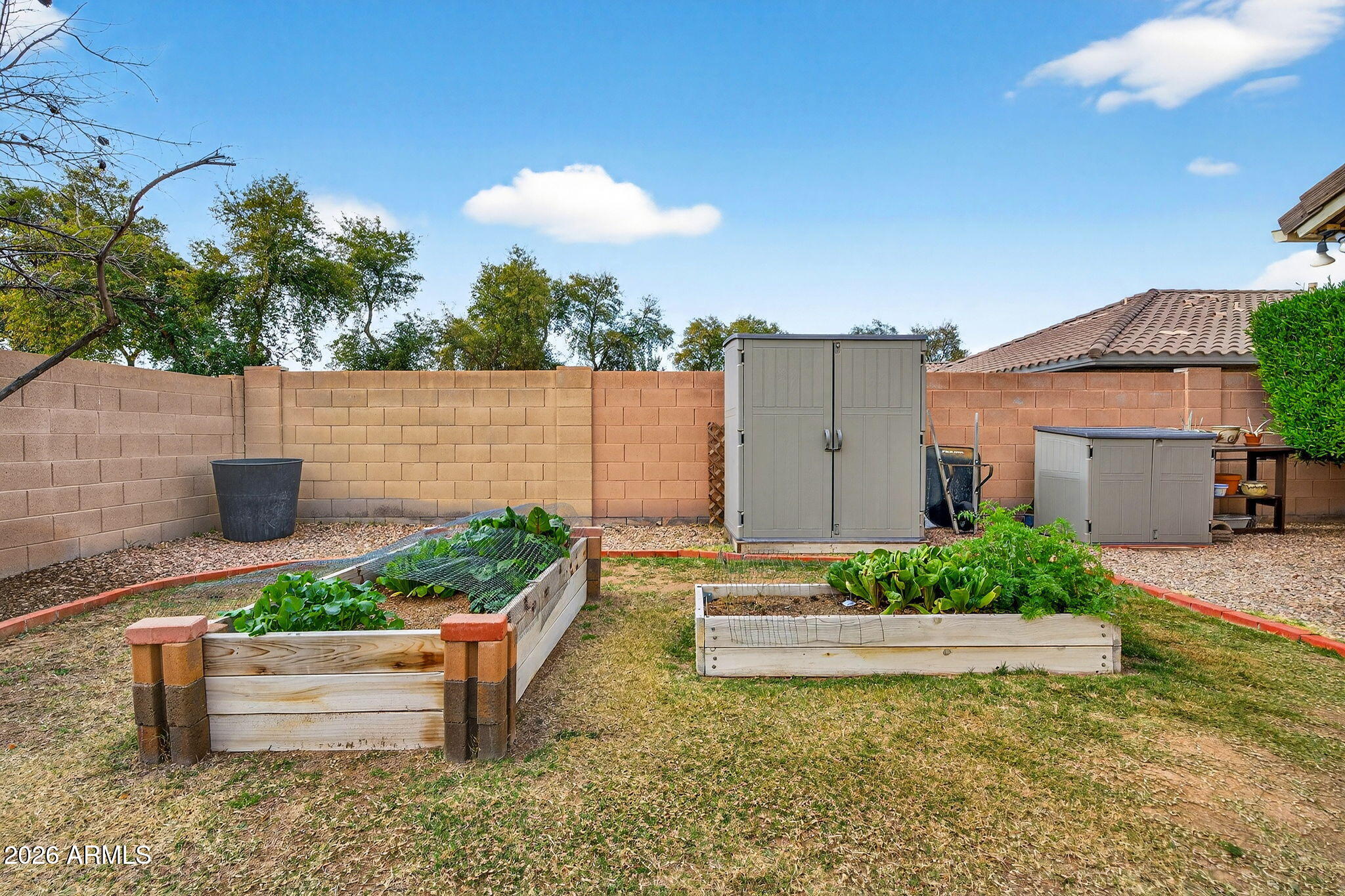 3239 East Elgin Street Gilbert, AZ 85295 - Photo 33 of 44 41-web-or-mls-60-E Elgin St