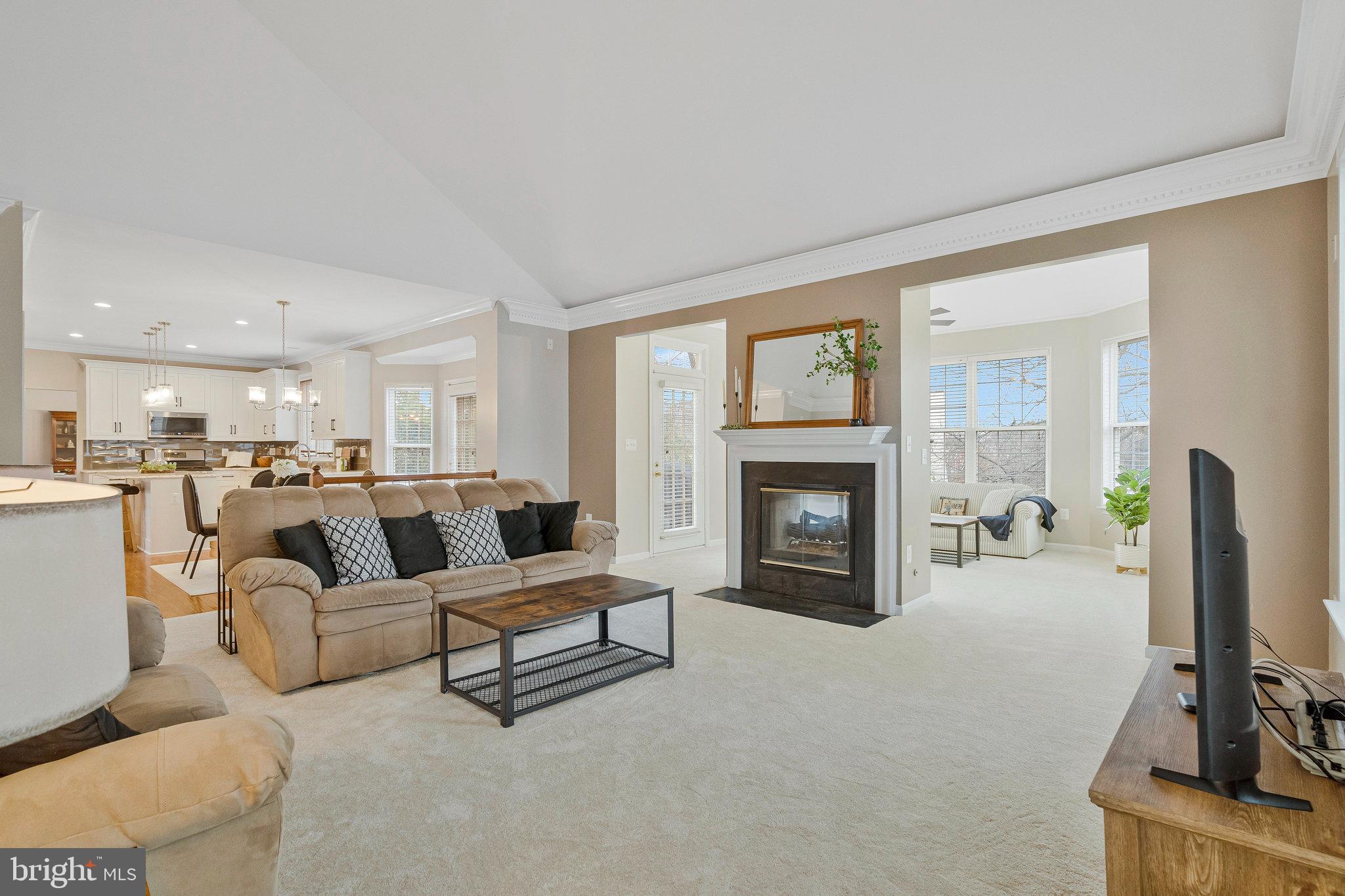 21272 Rosetta Place Ashburn, VA 20147 - Photo 20 of 58 a living room with furniture and a fireplace