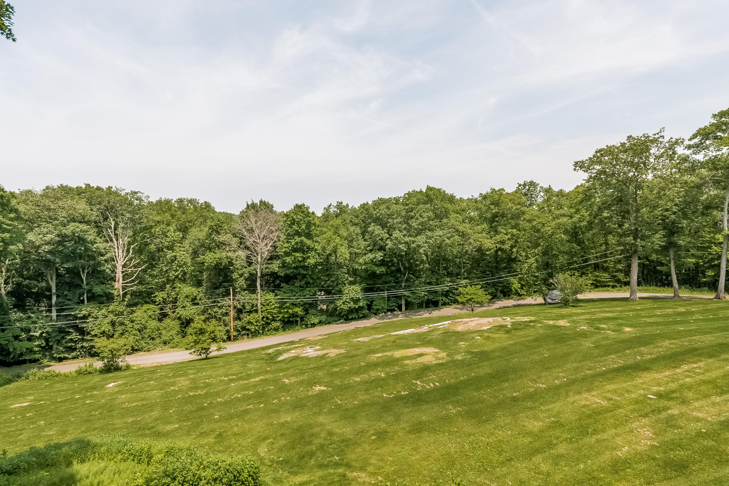 17 Bayberry Hill Road Ridgefield, CT 06877 - Photo 46 of 50 a view of a large trees with lawn chairs and a big yard