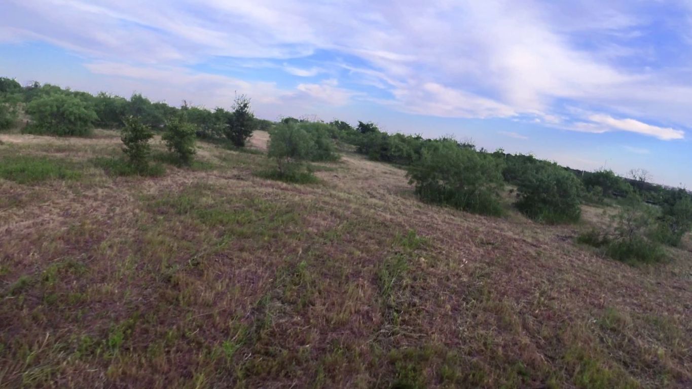 13706 1/2 Bois-D-Arc Road Manor, TX 78653 - Photo 4 of 11 a view of a city with lush green forest