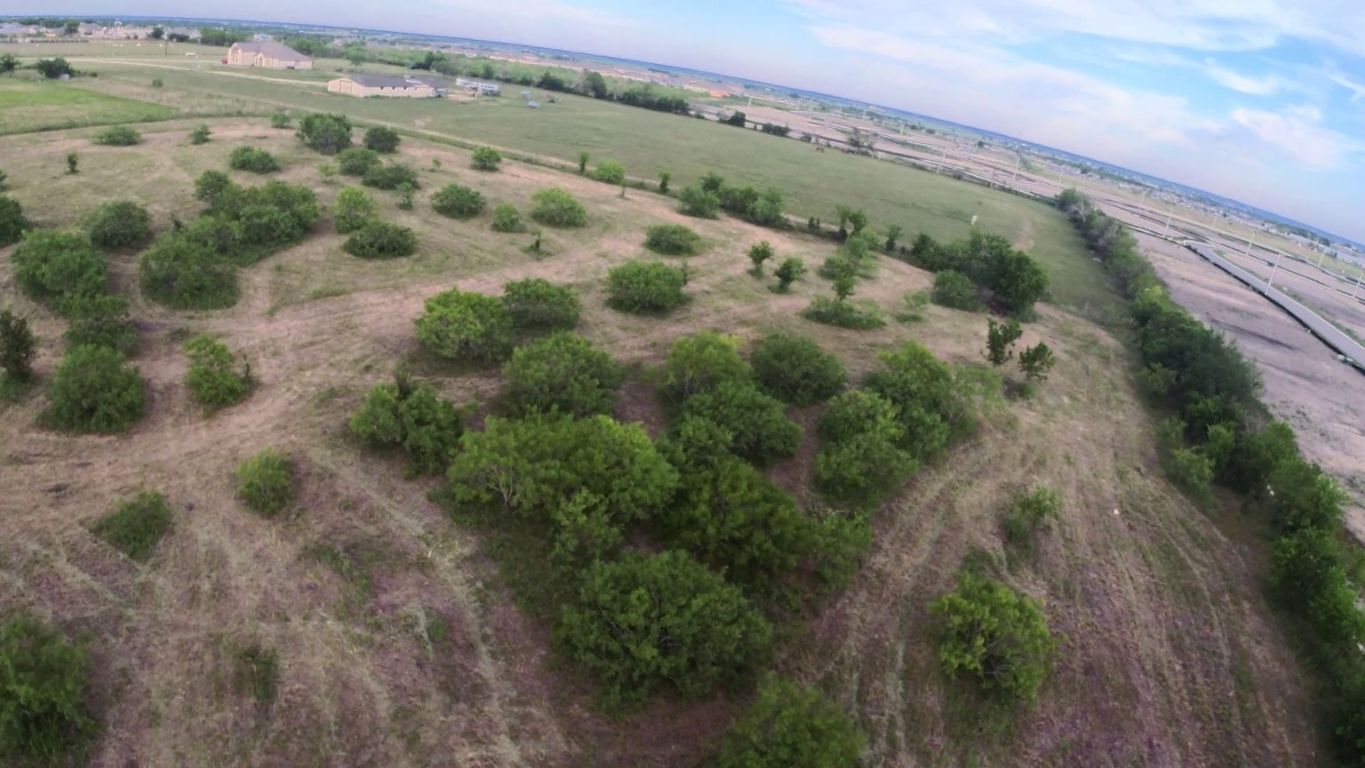 13706 1/2 Bois-D-Arc Road Manor, TX 78653 - Photo 7 of 11 a view of a field with a plant