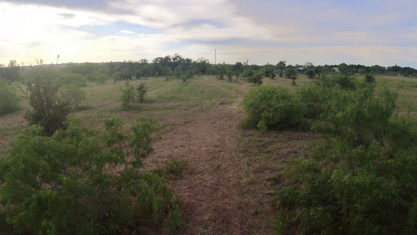 13706 1/2 Bois-D-Arc Road Manor, TX 78653 - Photo 9 of 11 a view of a lush green forest with a houses