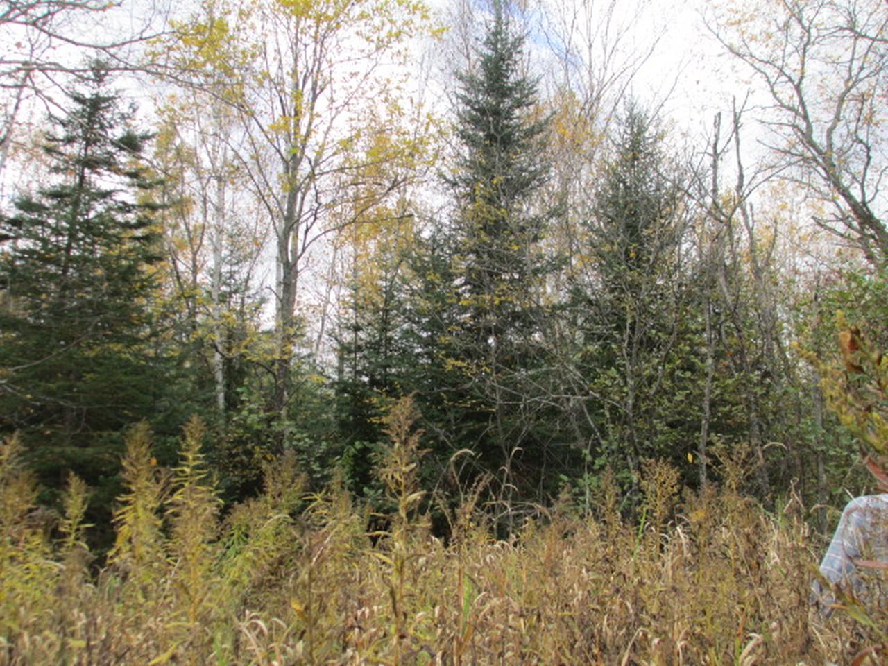 Near Koehmstedt Road Hurley, WI 54534 - Photo 2 of 6 Gallery Image 2