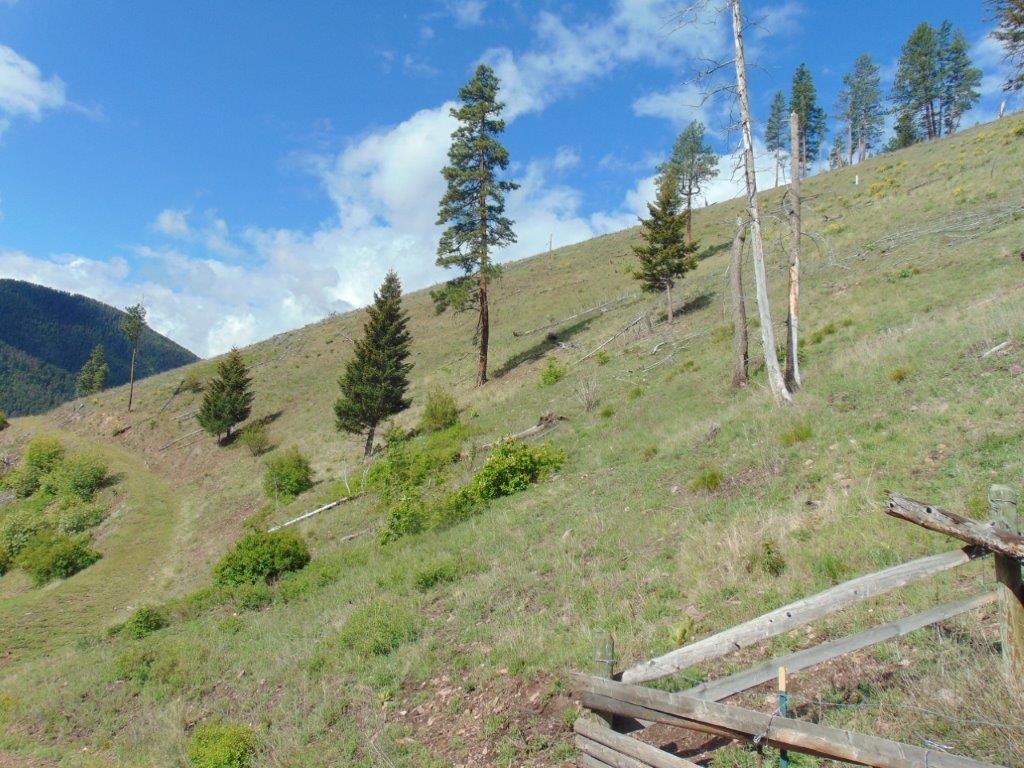 27235 Lazy Springs Road Clinton, MT 59825 - Photo 73 of 94 Gallery Image 73