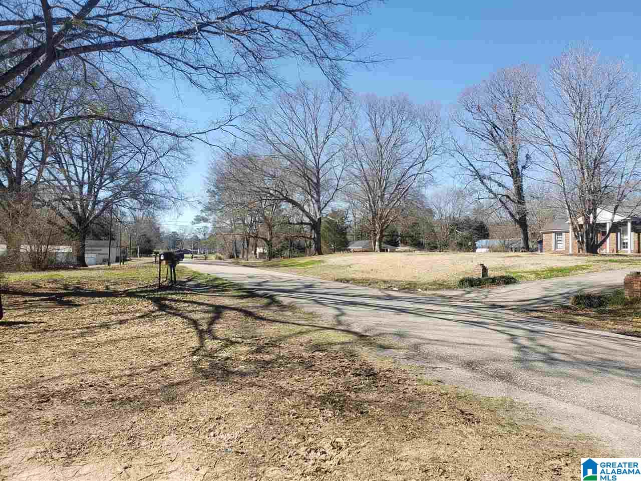 543 Odens Mill Road Sylacauga, AL 35150 - Photo 49 of 49