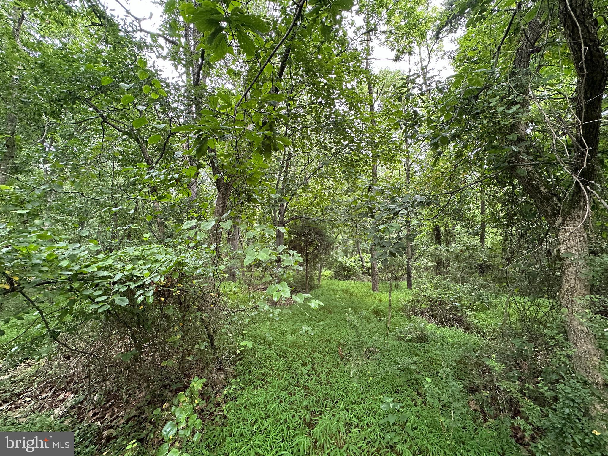 9-acres Polidor Road Waynesboro, PA 17268 - Photo 12 of 20