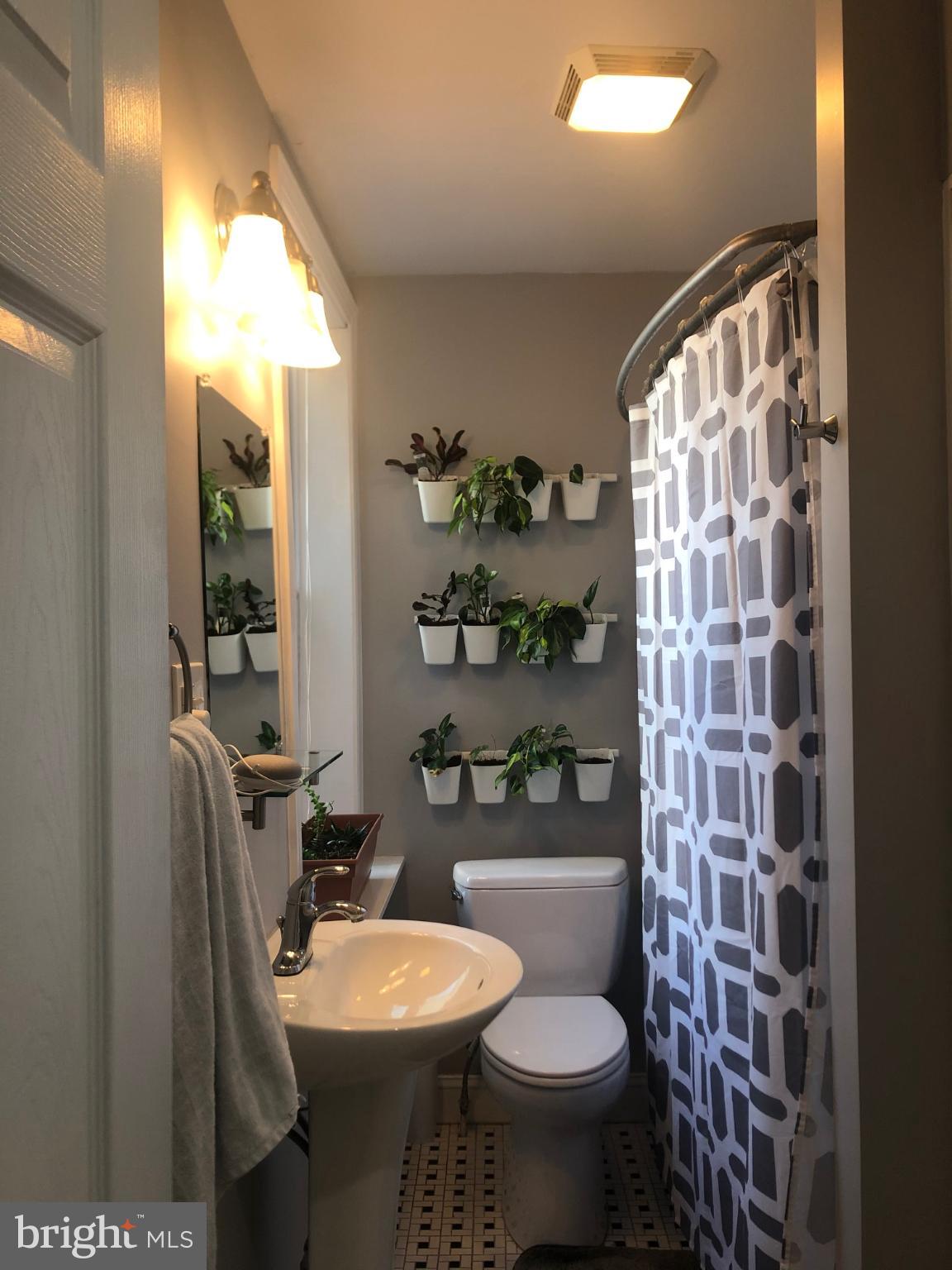 349 Dickinson Street, Unit 1 Philadelphia, PA 19147 - Photo 6 of 11 Charming bathroom with lush greenery accents.