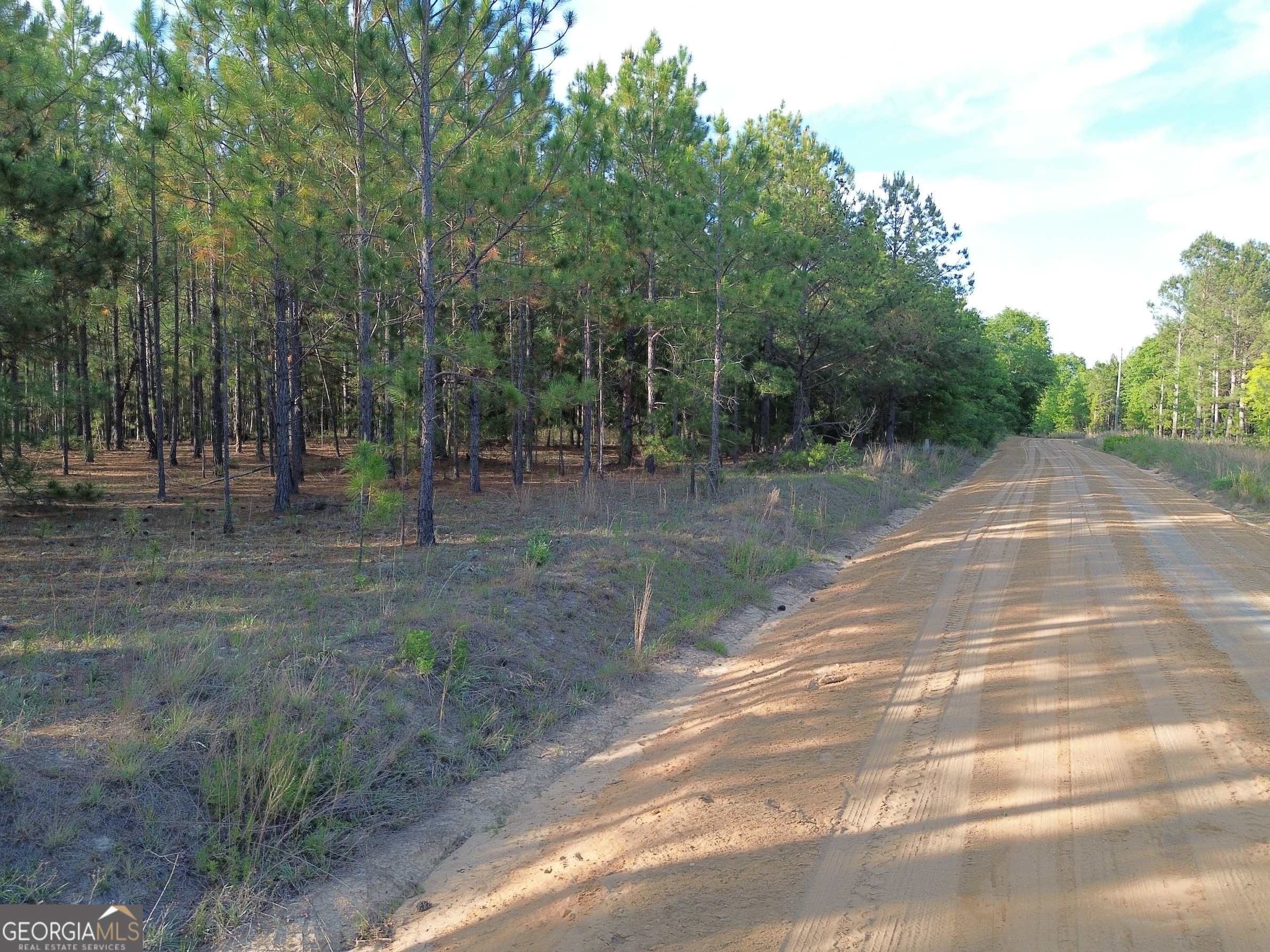 3570 William Dennis Road McRae-Helena, GA 31037 - Photo 13 of 23