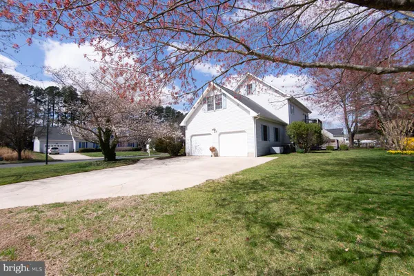 a view of a yard with a house and a large tree