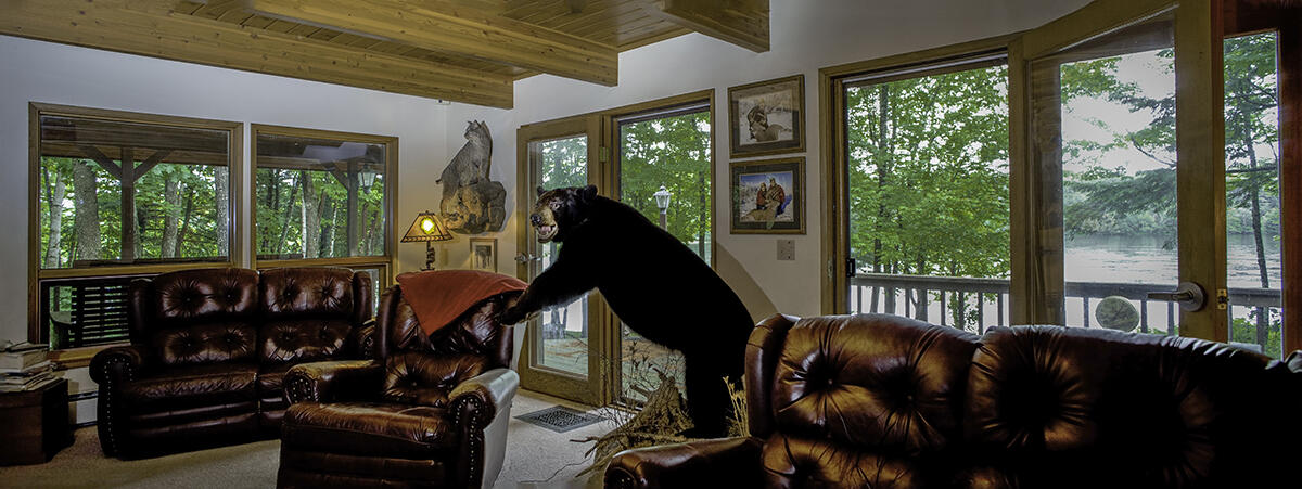 1469 Kennebec River Road Concord Township, ME 04920 - Photo 13 of 46 Mendoza_LR_1_hi-res