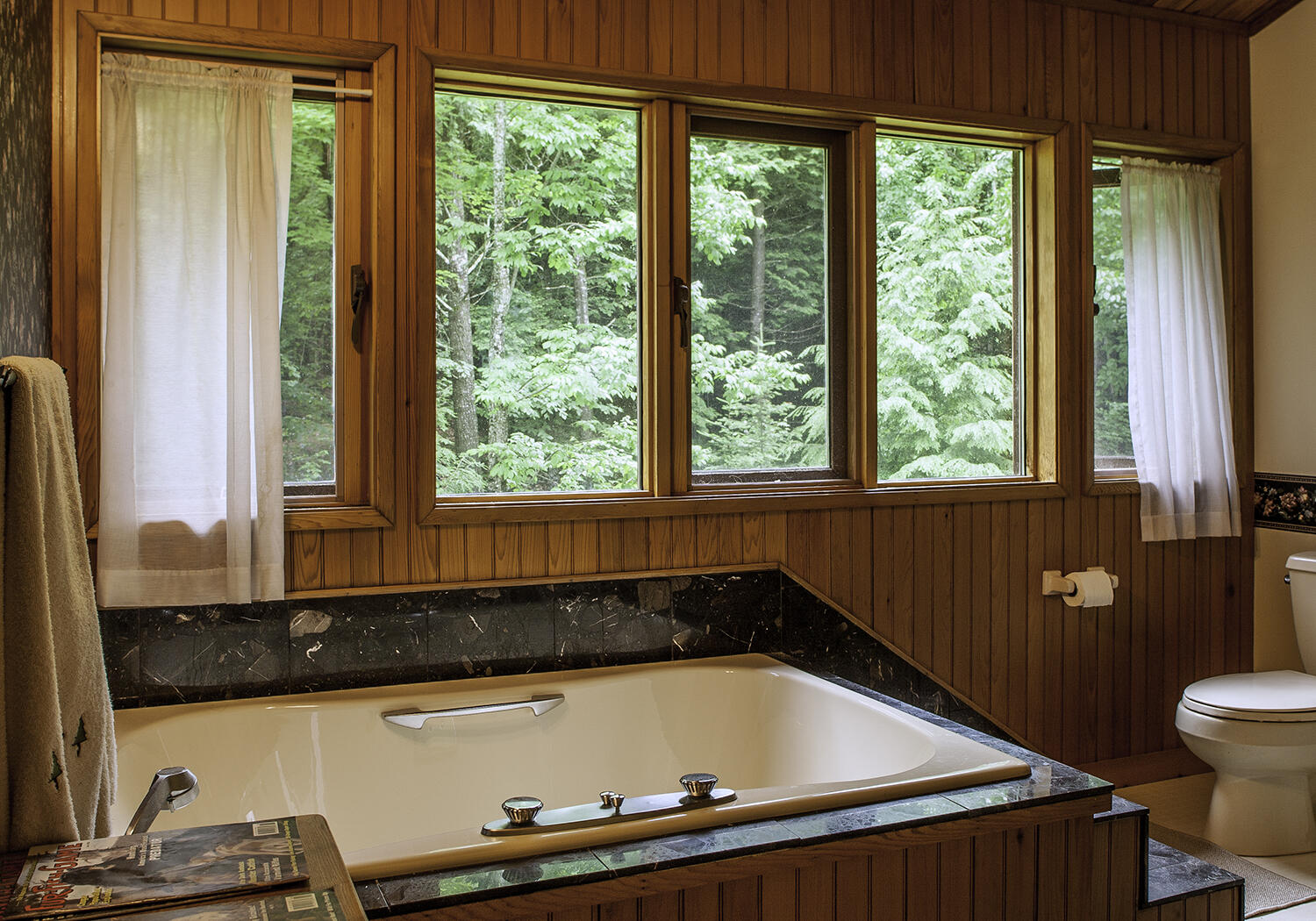 1469 Kennebec River Road Concord Township, ME 04920 - Photo 17 of 46 Mendoza_bath_Hi-res