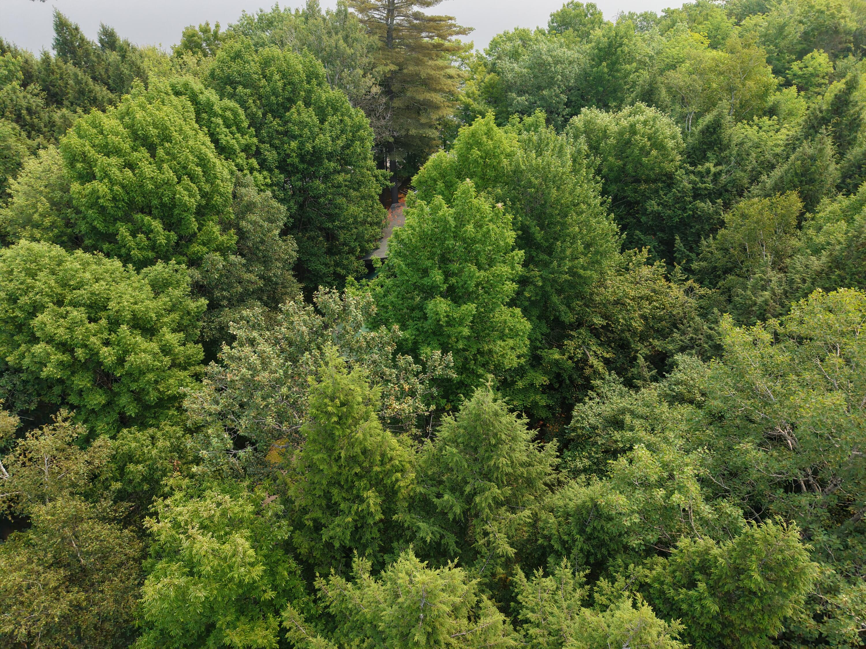 1469 Kennebec River Road Concord Township, ME 04920 - Photo 41 of 46 DJI_20250804112405_0002_D