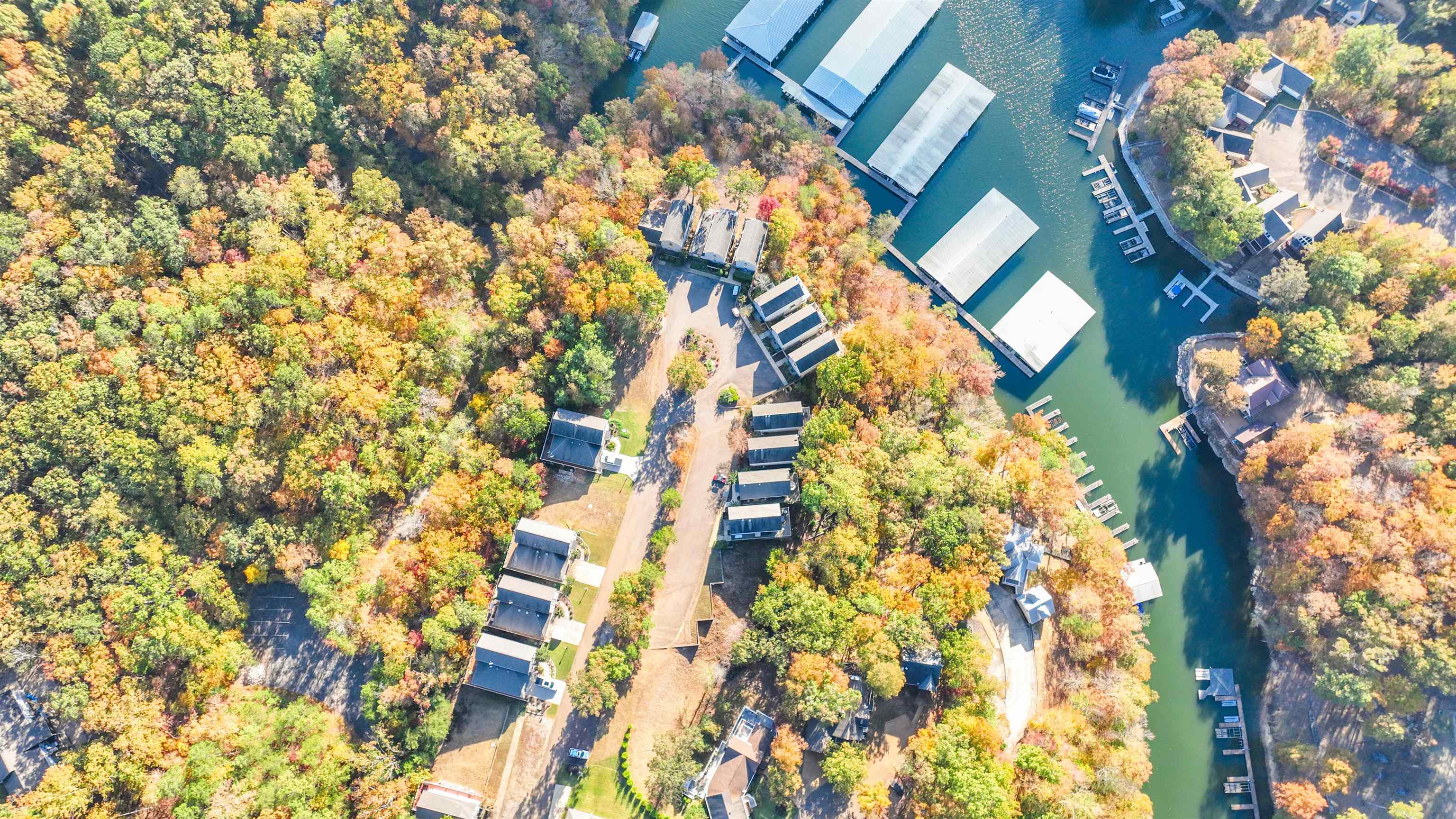 11 Deer Path Savannah, TN 38372 - Photo 11 of 19 a close up of a plant with a plant
