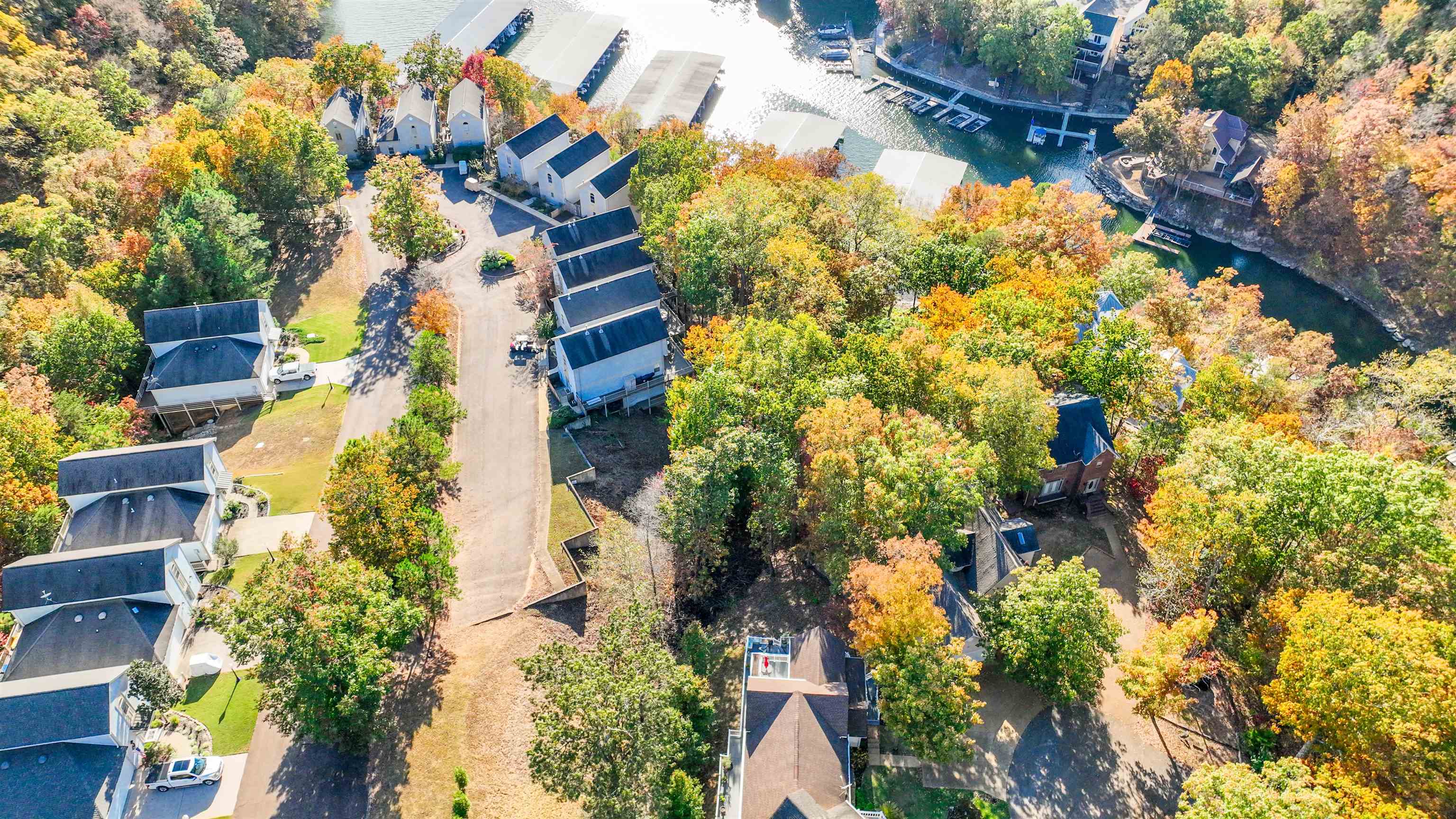 11 Deer Path Savannah, TN 38372 - Photo 12 of 19 a picture of flowers