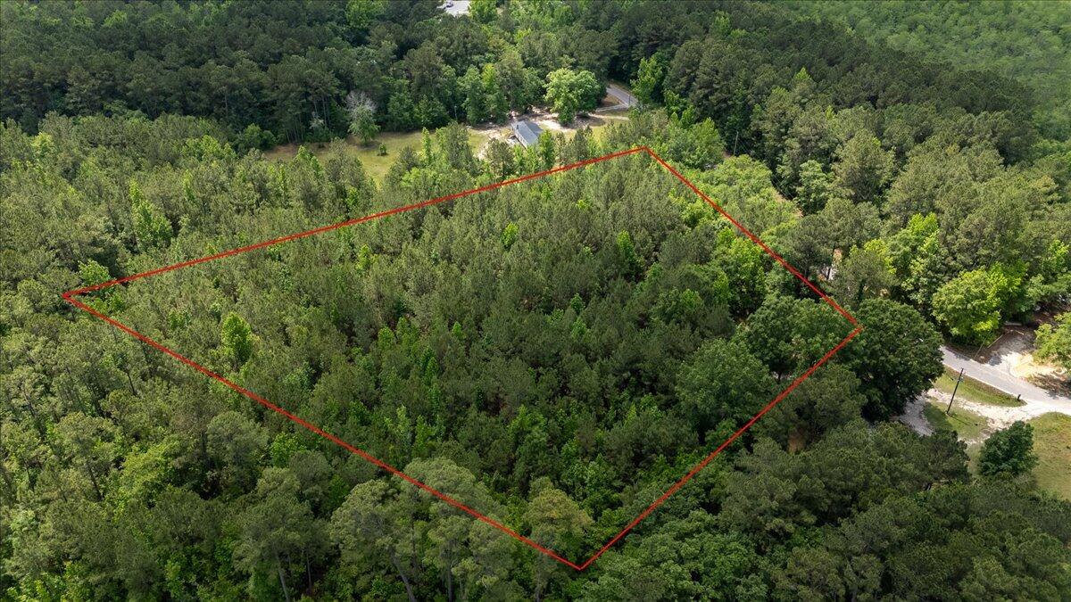 0 Deneaux Road Rowesville, SC 29133 - Photo 26 of 43 26-Deneaux-21a