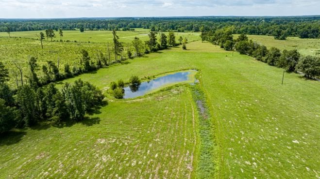 R57191 Duke Road Kennard, TX 75847 - Photo 4 of 15