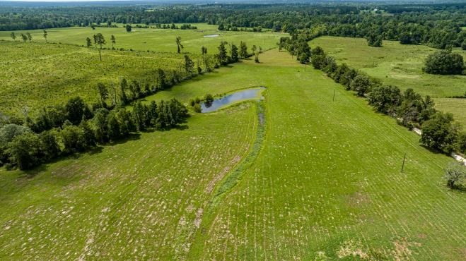 R57191 Duke Road Kennard, TX 75847 - Photo 5 of 15