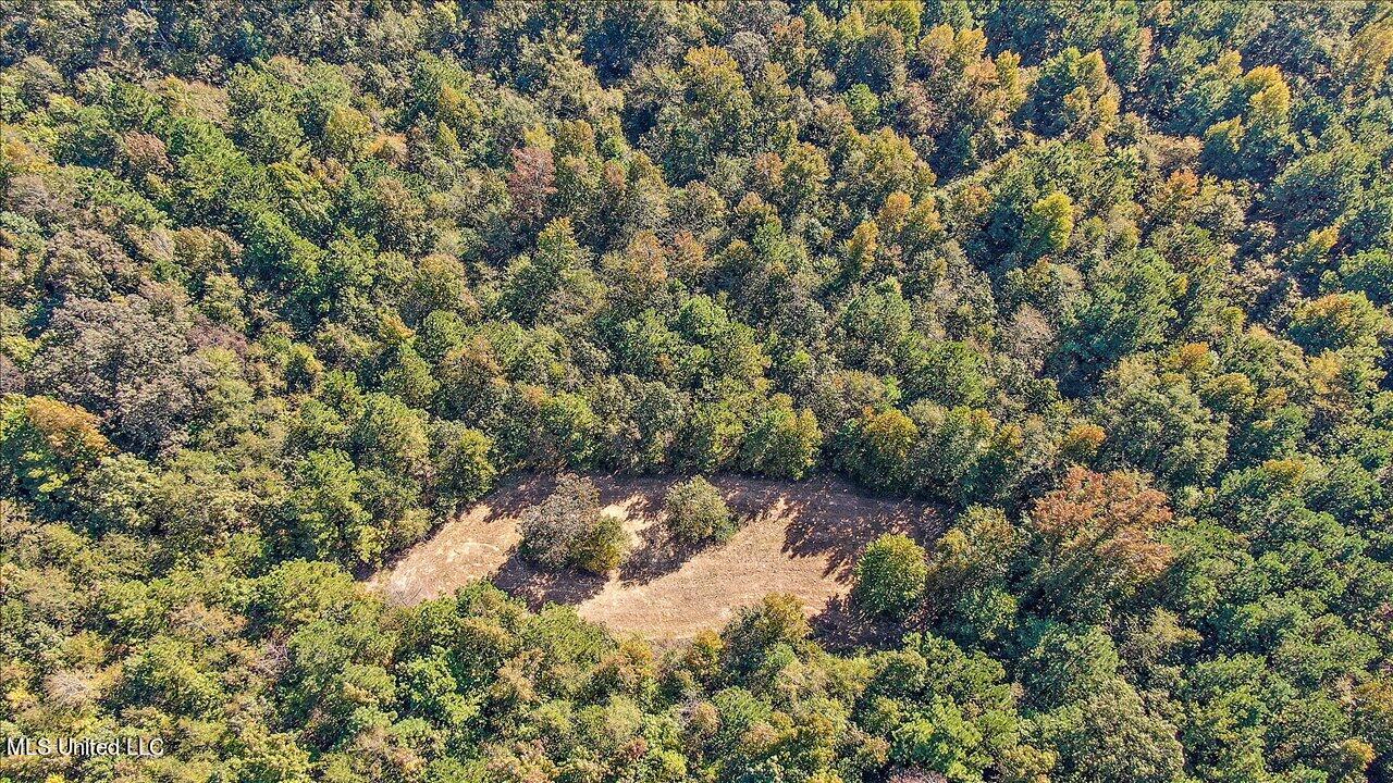 0 Cleary Road Florence, MS 39073 - Photo 22 of 25 22-00 Cleary Rd