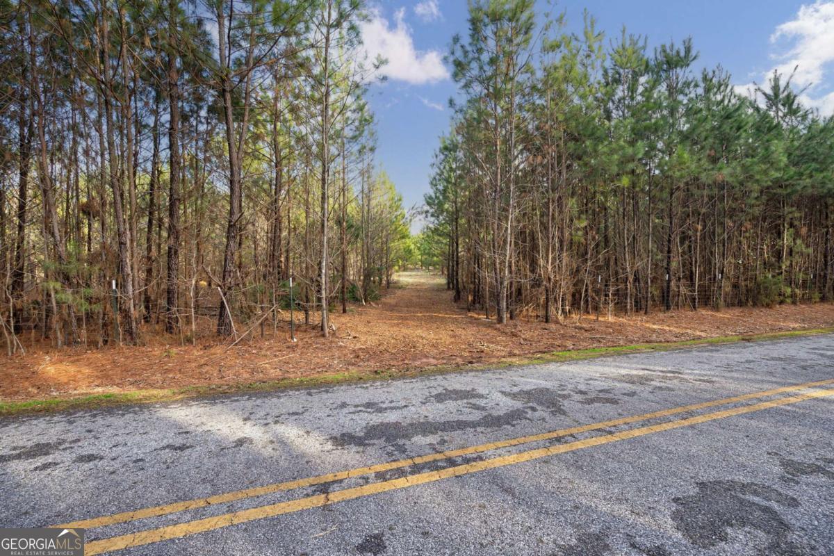 Tract 1 B High Shoals Road Bishop, GA 30621 - Photo 11 of 23