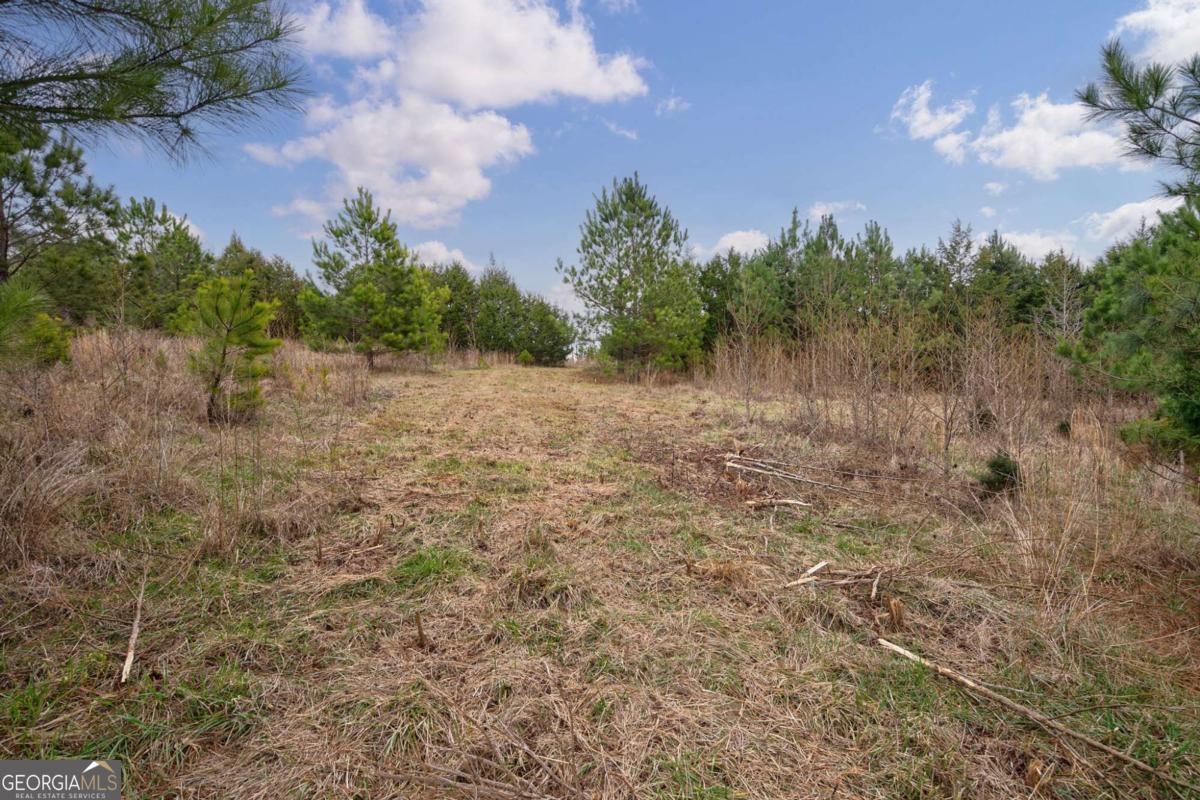 Tract 1 B High Shoals Road Bishop, GA 30621 - Photo 12 of 23
