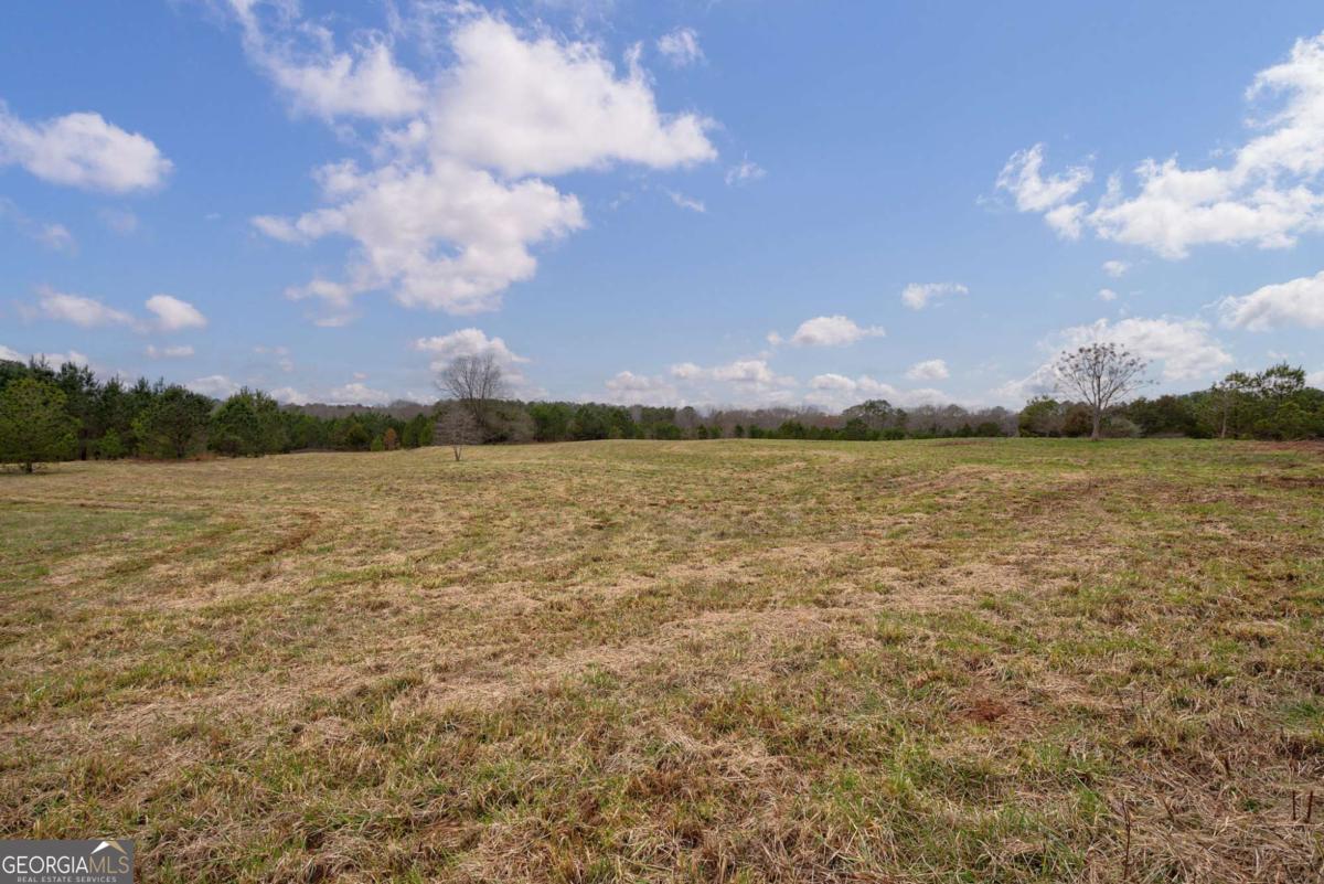 Tract 1 B High Shoals Road Bishop, GA 30621 - Photo 3 of 23