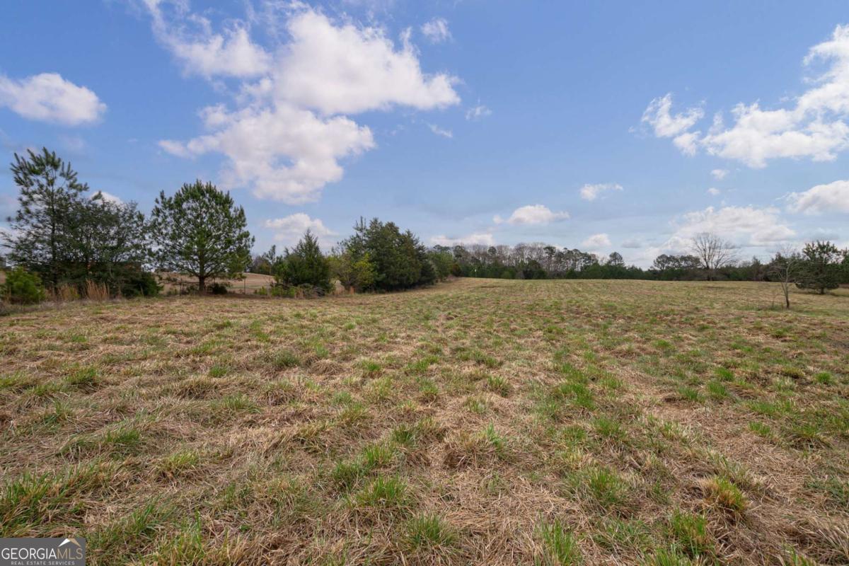 Tract 1 B High Shoals Road Bishop, GA 30621 - Photo 5 of 23