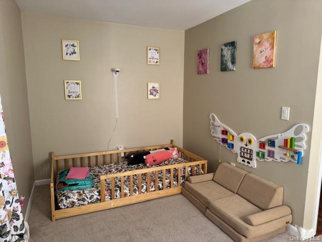 57 Boorman Road Middletown, NY 10940 - Photo 20 of 44