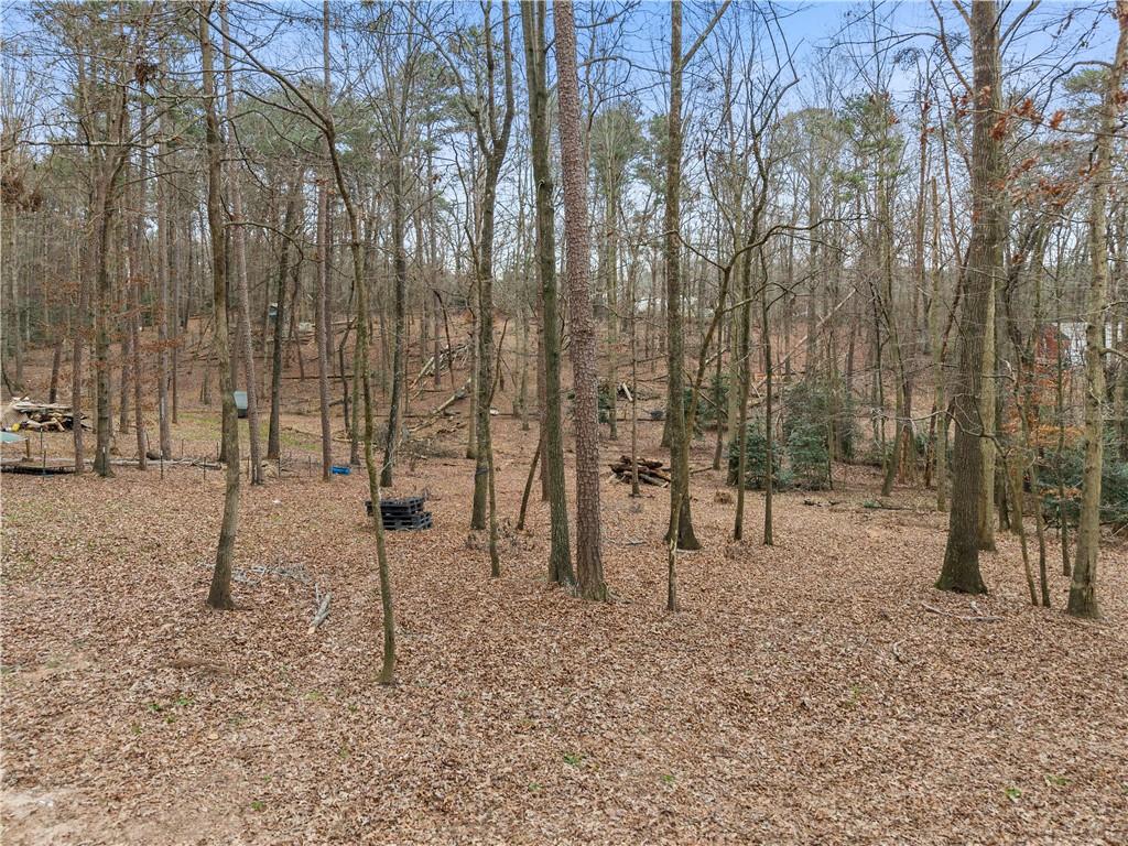 1527 Gold Mine Road Dawsonville, GA 30534 - Photo 33 of 39 a view of a forest filled with trees
