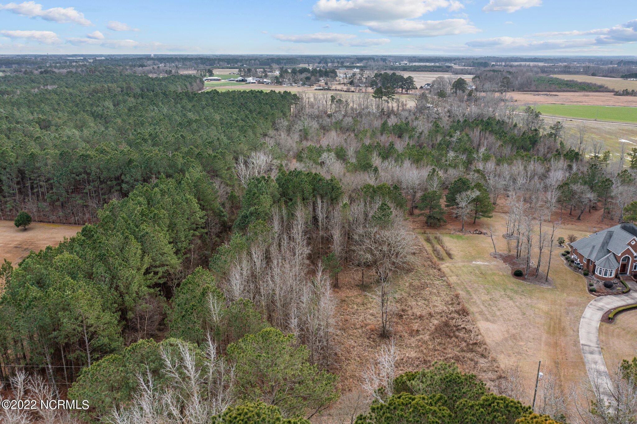 1785 Forlines Road Winterville, NC 28590 - Photo 9 of 10 7-web-or-mls-DJI_0151