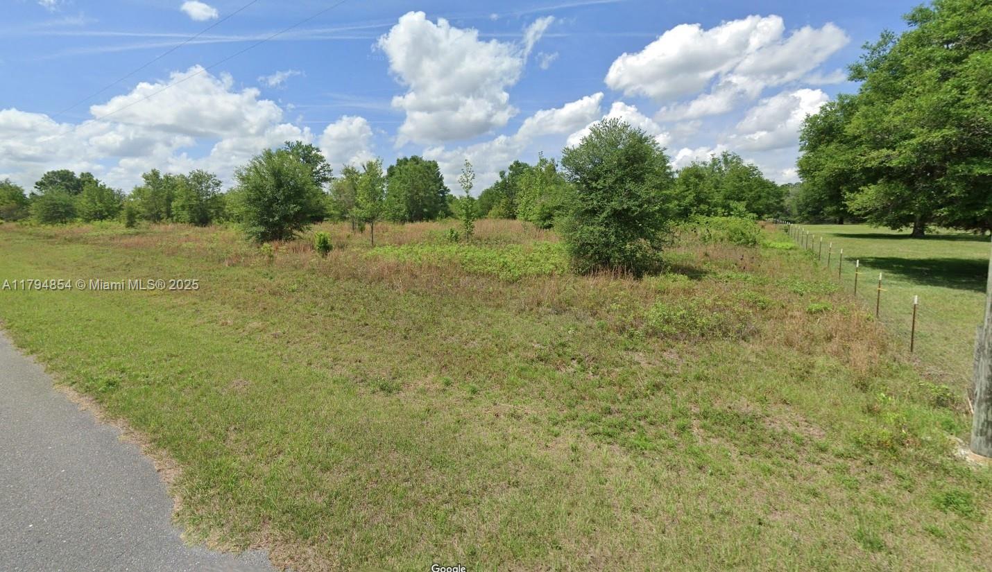 Unknown Southwest Skyline Loop Fort White, FL 32038 - Photo 1 of 3 Gallery Image 1