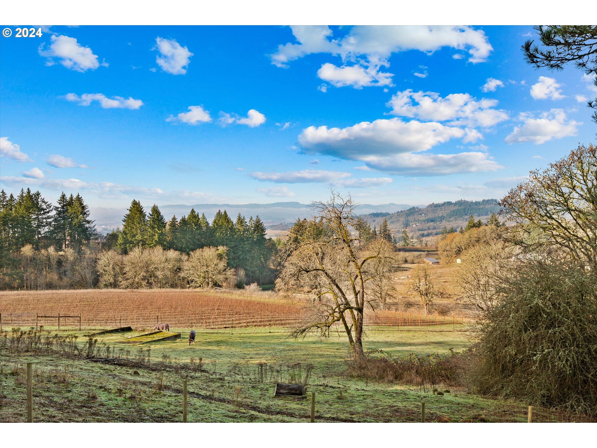 7625 Southeast Seawood Road Amity, OR 97101 - Photo 31 of 48 a view of an ocean from a building