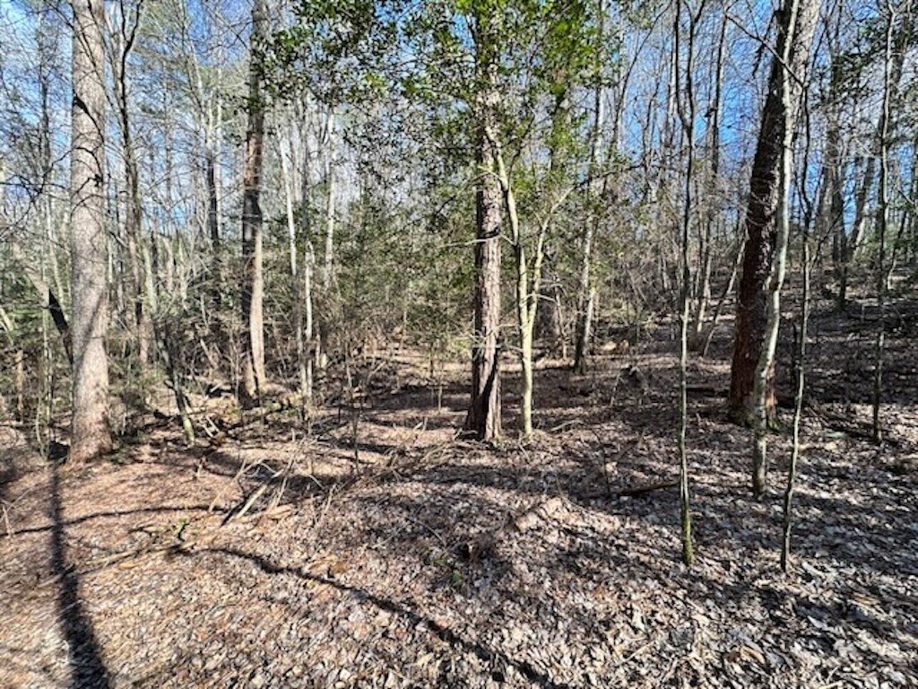 3764 R Eagle Mountain Ellijay, GA 30540 - Photo 6 of 19 Gallery Image 6