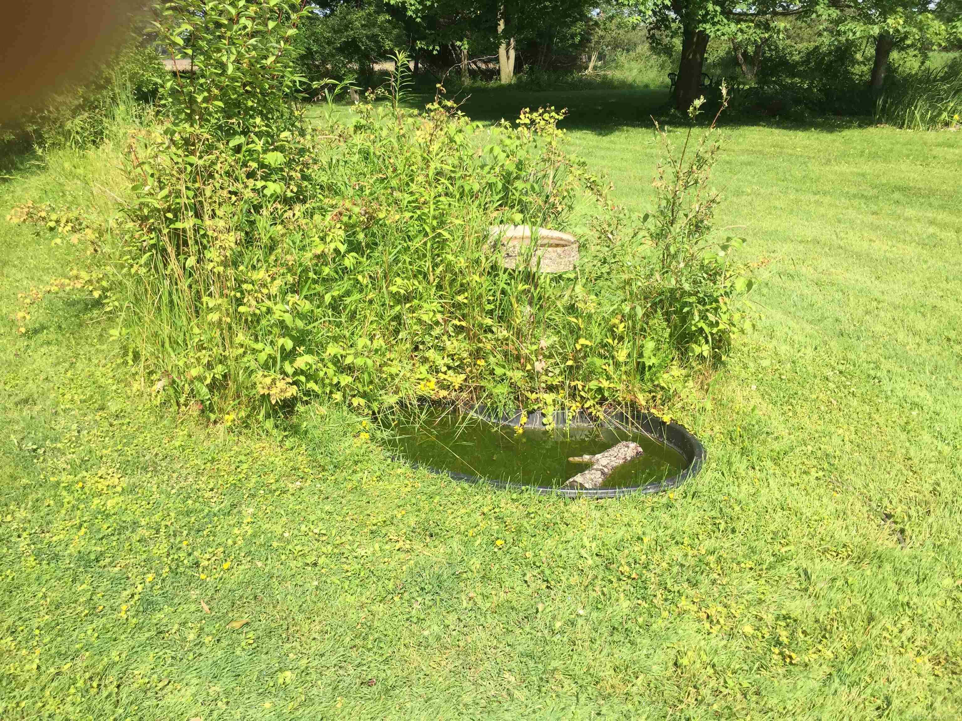 1684 Phipps Road Carsonville, MI 48419 - Photo 29 of 44 50145961-d75e269f-29d8-459f-b3e3-9d7de7ff6cca.JPG