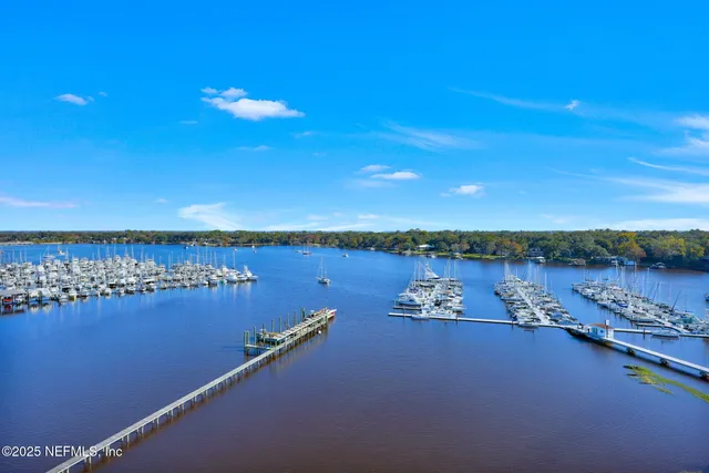 a view of a house with a yard and potted plants