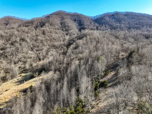 $750,000 | Tbd Rattlers Haven Drive, Gate City, VA 24251