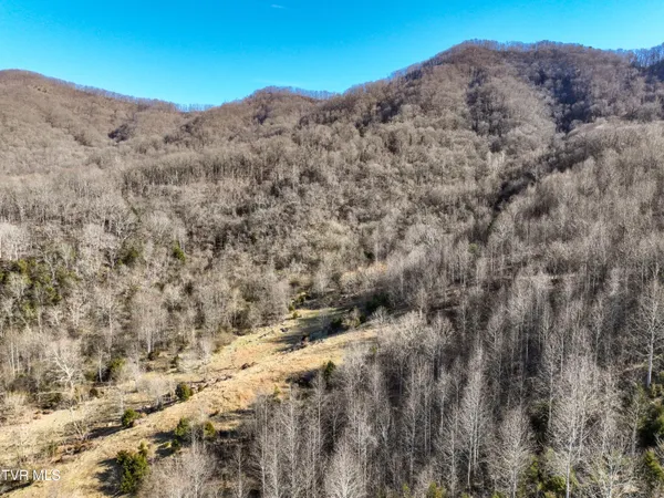 $750,000 | Tbd Rattlers Haven Drive, Gate City, VA 24251