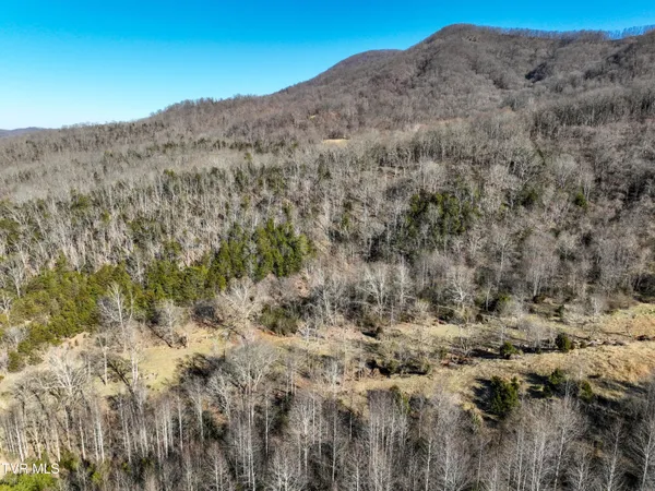 $750,000 | Tbd Rattlers Haven Drive, Gate City, VA 24251