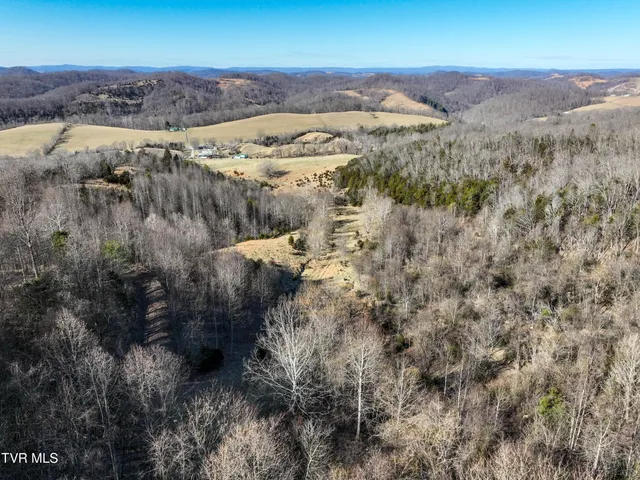 $890,000 | Tbd Rattlers Haven Drive, Gate City, VA 24251