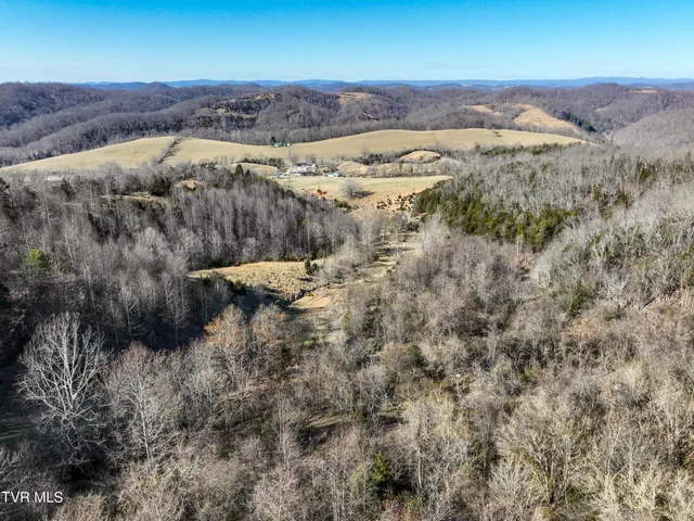 $890,000 | Tbd Rattlers Haven Drive, Gate City, VA 24251